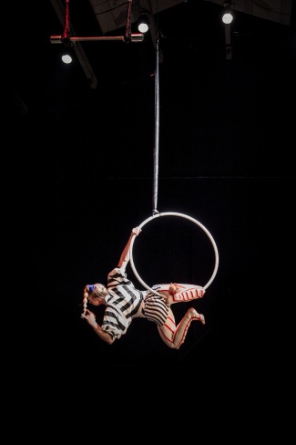 Cover art for Cirque Macabre