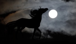 Cover art for Dark Horse