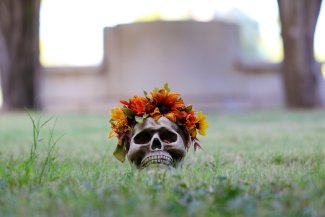 Cover art for Dia de los Muertos