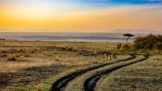 Cover art for Journey Into Africa