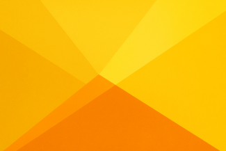 Cover art for Shades Of Joy