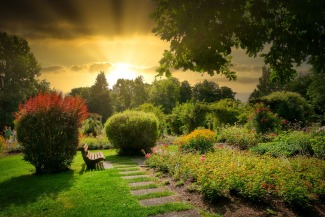 Cover art for Twilight in the Garden