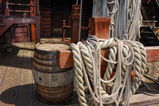 Cover art for Walk The Plank